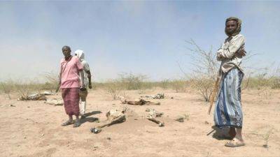 HRW: Саудовские пограничники убили не менее сотни мигрантов из Эфиопии