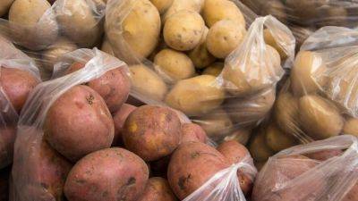 Она напичкана химикатами: как определить опасную молодую картошку. Простые секреты - hyser.com.ua - Украина