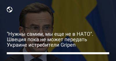 "Нужны самим, мы еще не в НАТО". Швеция пока не может передать Украине истребители Gripen