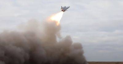 "Бобры" вместо ракет: какие опасные ударные дроны имеет Украина и на что они способны (видео)