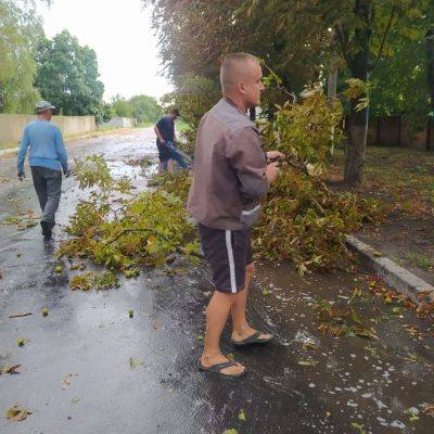 На юге Харьковщины стихия сегодня срывала крыши и валила деревья (фото)