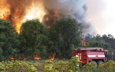 Площадь пожара в лесу Николаевской области увеличилась в два раза
