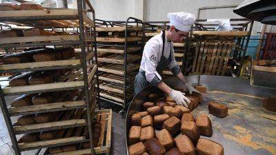 Минсельхоз опроверг прогнозы о резком повышении цен на хлеб