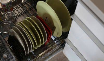 Не посудой единой: что можно и нужны мыть и стирать в посудомоечной машине