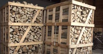 Зима и блекауты на носу: сколько сейчас стоят дрова