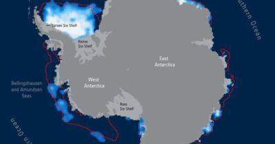 Непристойное обнажение. У Антарктиды нет сил противостоять изменениям климата с "этой тонкой броней" - focus.ua - Украина - Антарктида - Гренландия