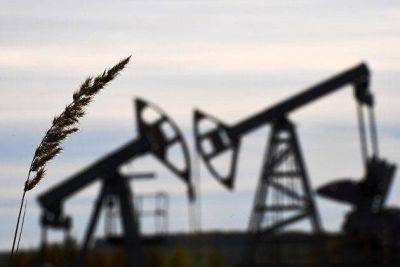 Источники: импорт нефти в Индию из России упал впервые за девять месяцев