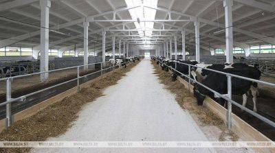 ЕЭК расширила перечень признаков для оценки продуктивности крупного рогатого скота