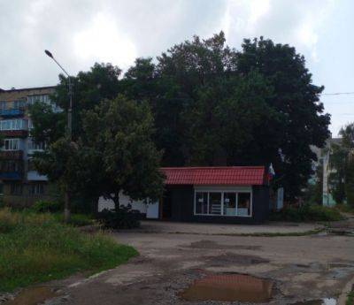 "Бурьяны и ямы по колено": В сети показали, как сейчас выглядит оккупированный Лисичанск