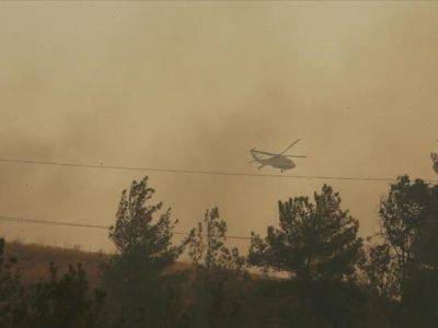 Из-за лесных пожаров в Турции остановили движение судов в проливе Чанаккале