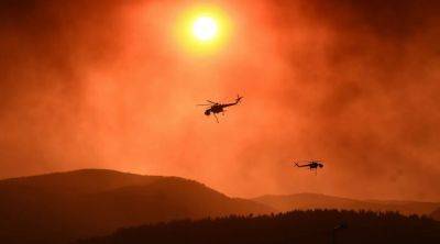 В Греции в зоне лесного пожара обнаружены тела 18 человек