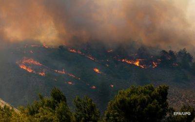 Лесные пожары в Греции: найдено 18 обгоревших тел