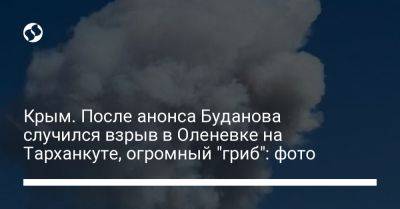 Крым. После анонса Буданова случился взрыв в Оленевке на Тарханкуте, огромный "гриб": фото