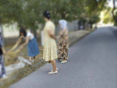 Директора ташкентской школы оштрафовали за привлечение учителей к уборке территории