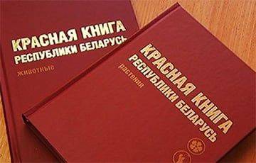 В Беларуси появится новая Красная книга
