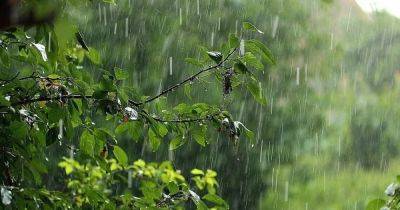 Погода в Украине 24 августа: на Закарпатье и юге пройдут дожди (КАРТА)