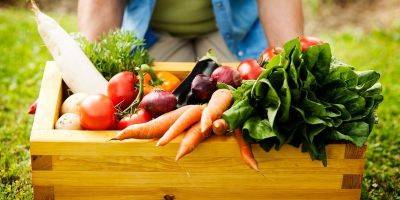 Пять овощей, которые действительно продлят вам жизнь. Нет, не только брокколи - nv.ua - Украина