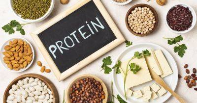 Чем заменить мясо: 9 лучших источников растительного белка