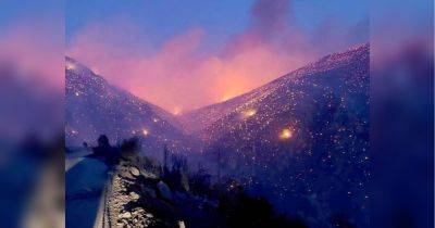 В Греции бушуют лесные пожары: погибли не менее 20 человек