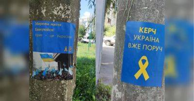 «На День независимости запустим от Луганска до Ялты очень громкие и масштабные акции», — координатор движения «Жовта Стрічка»