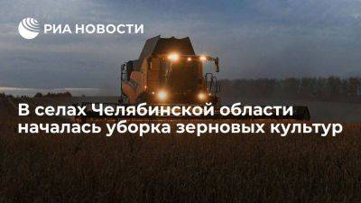 В селах Челябинской области началась уборка зерновых культур