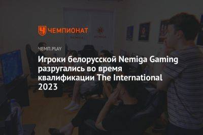 Игроки белорусской Nemiga Gaming разругались во время квалификации The International 2023