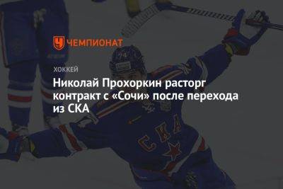 Николай Прохоркин расторг контракт с «Сочи» после перехода из СКА