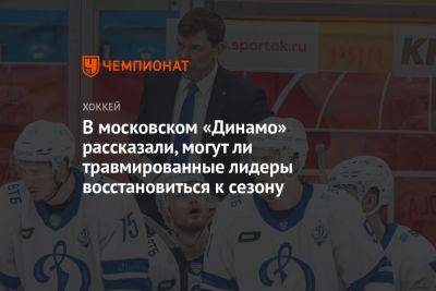 В московском «Динамо» рассказали, могут ли травмированные лидеры восстановиться к сезону