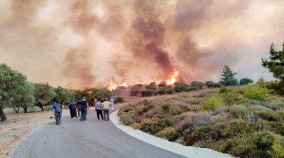 Лесные пожары в Греции стали самыми масштабными в истории ЕС – еврокомиссар