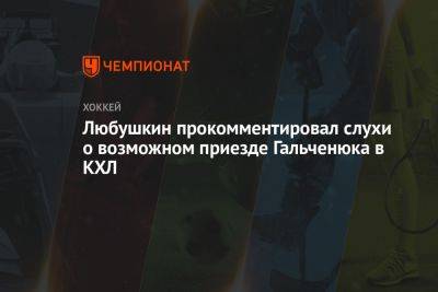Любушкин прокомментировал слухи о возможном приезде Гальченюка в КХЛ