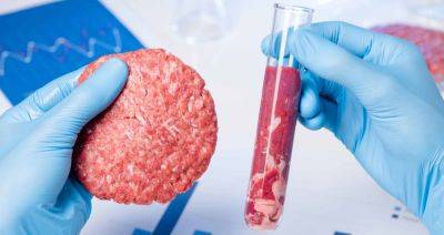 К 2060 году альтернативные белки завоюют половину мирового рынка мяса