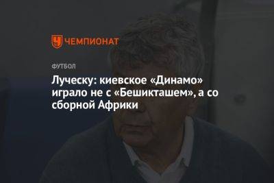 Луческу: киевское «Динамо» играло не с «Бешикташем», а со сборной Африки