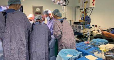 В Великобритании провели первую трансплантацию матки: донором стала сестра пациентки