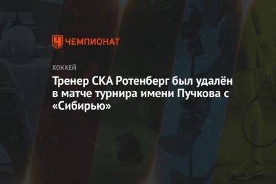 Тренер СКА Ротенберг был удалён в матче турнира имени Пучкова с «Сибирью»