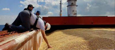 Часть компаний-экспортеров зерна в Одесской области работают незаконно