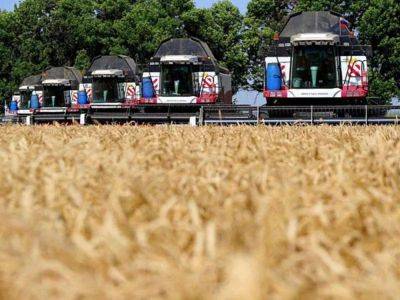 Figaro: Россия будет доминировать на рынке зерна в следующем году