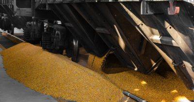 Оккупанты похитили не менее 3,7 млн тонн украинского зерна