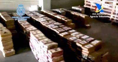 В Испании изъяли рекордную партию кокаина, спрятанную в коробках с бананами (видео)