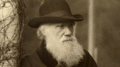 AP: английские ученые повторят кругосветное путешествие Чарльза Дарвина