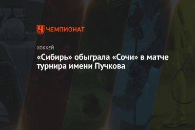 «Сибирь» обыграла «Сочи» в матче турнира имени Пучкова
