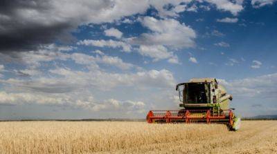 ЕС хочет продлить запрет на импорт украинского зерна: в МИД отреагировали