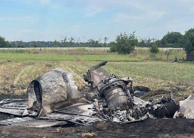 Житомирщина, до сліз: у небі зіштовхнулися два літаки L-39, пілоти загинули. Фото з місця