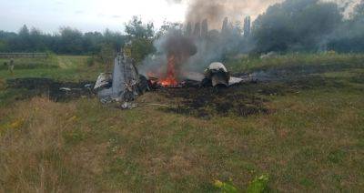 Самолеты столкнулись в Житомирской области - первые кадры с места трагедии