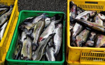 россия надеется увеличить экспорт морепродуктов в Китай после запрета импорта из Японии