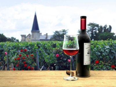 Франция и ЕС планируют потратить 215 миллионов евро на поддержку производителей вина - unn.com.ua - Украина - Киев - Италия - Германия - Франция - Испания - Португалия - Ес