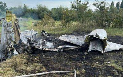 На Житомирщине столкнулись два самолета: последствия авиакатастрофы