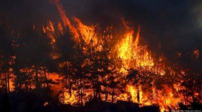 В Перу горят леса, по меньшей мере пять человек погибли