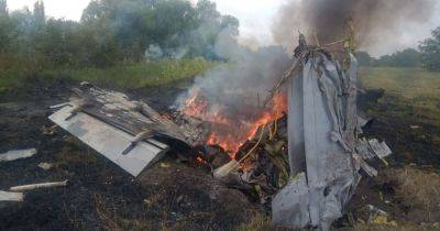 Гибель трех летчиков в авиакатастрофе: появилось видео, как убирали обломки самолетов
