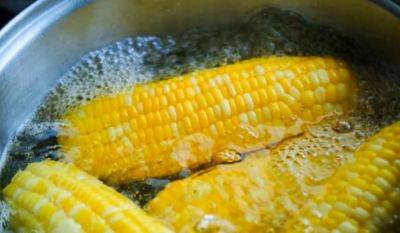 Станет кислой, как забродившие огурцы: как долго можно хранить вареную кукурузу