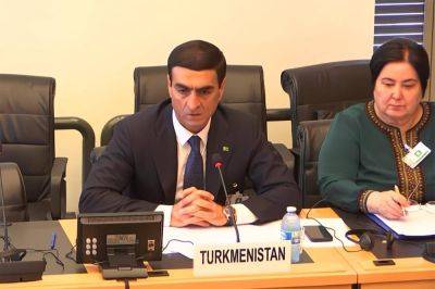 Помилование М.Мингелова и независимость судей. Туркменистан отчитался в ООН о соблюдении прав нацменьшинств